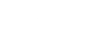 birdseye media logo