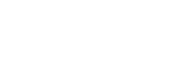 birdseye media logo